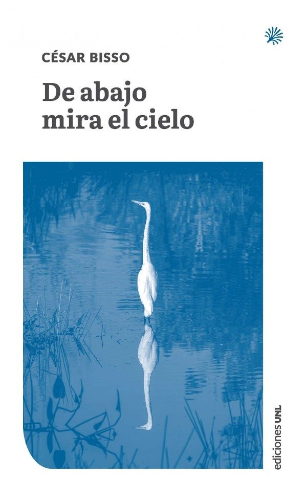 De abajo mira el cielo