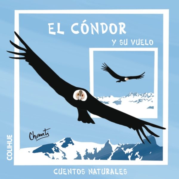 El cóndor y su vuelo