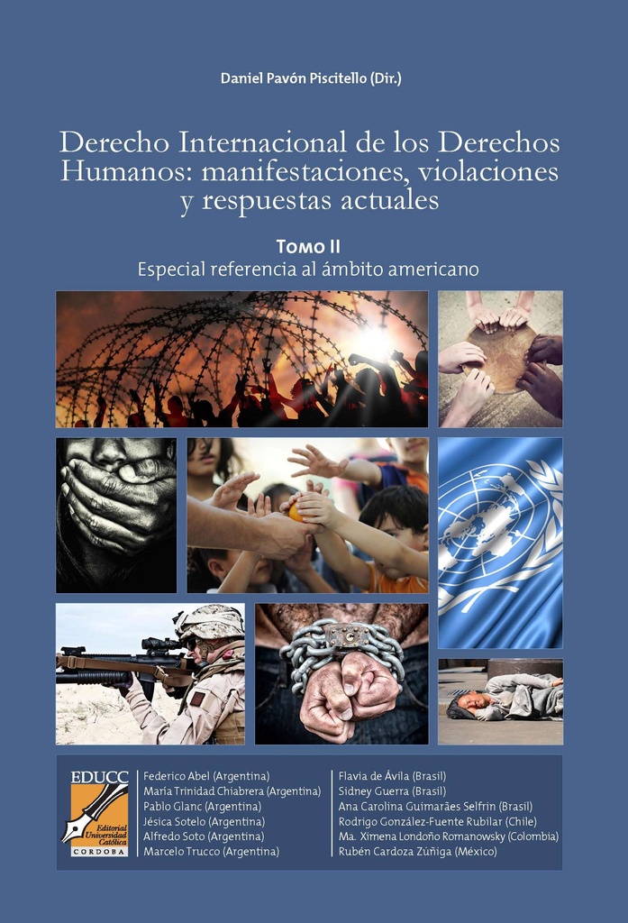 Derecho Internacional de los Derechos Humanos TOMO II