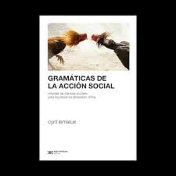 Gramaticas de la acción social