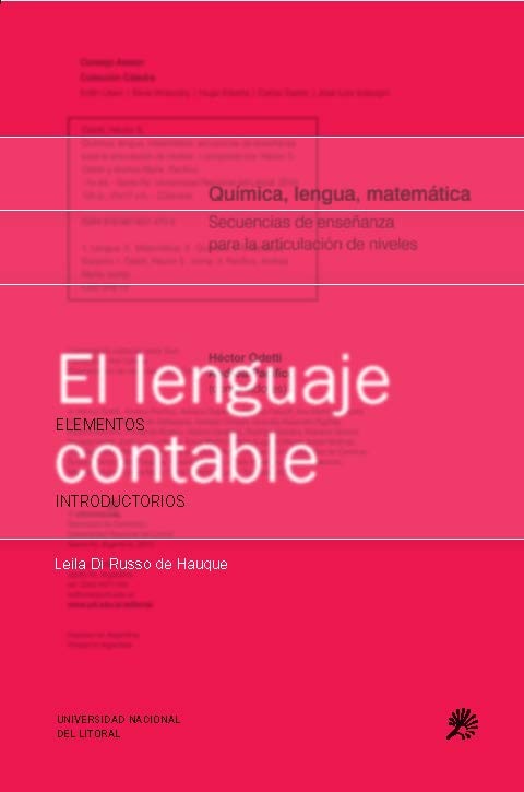 El lenguaje contable
