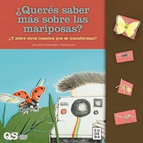 ¿Querés saber más sobre las mariposas?