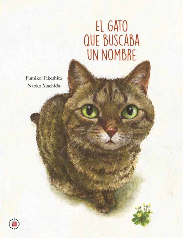 GATO QUE BUSCABA UN NOMBRE (ARG)
 TD