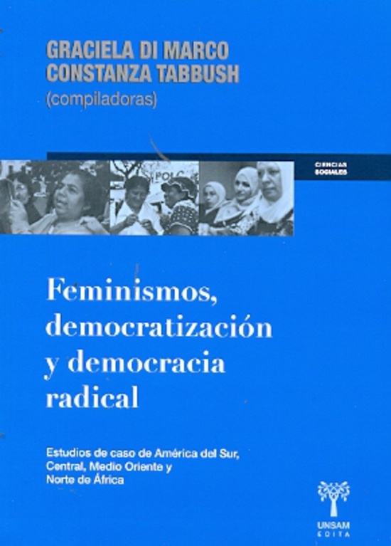 Feminismos, democratización y democracia radical