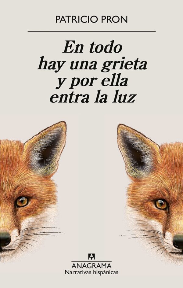 En todo hay una grieta y por ella entra la luz