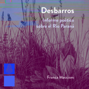 Desbarros