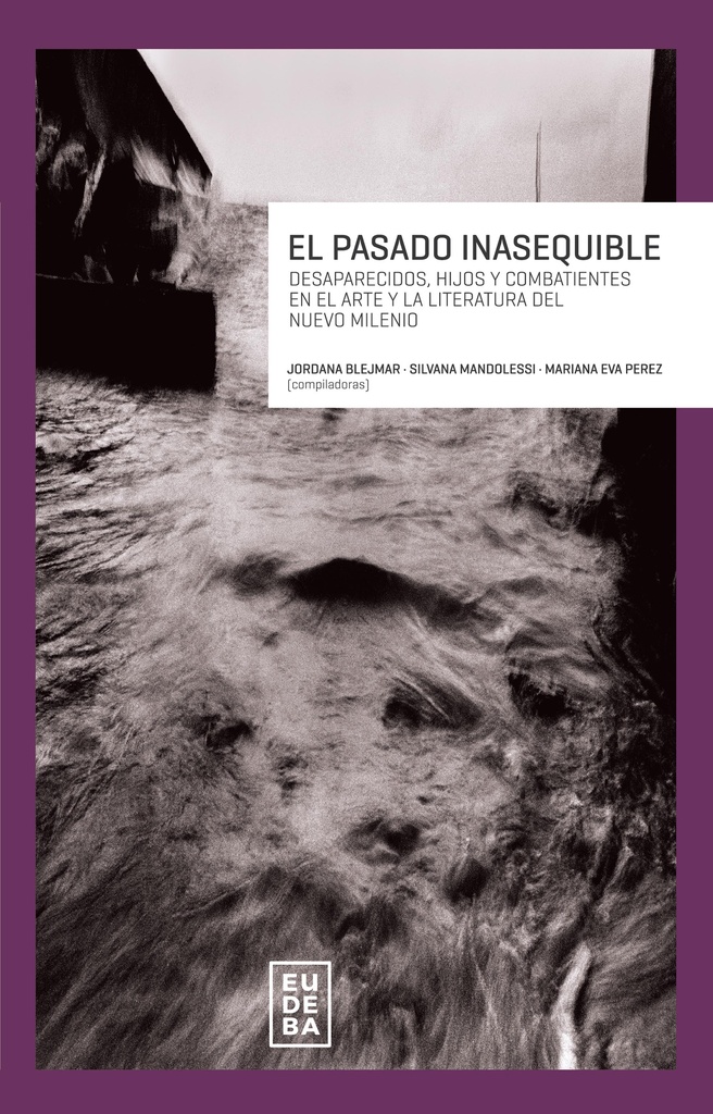 El pasado inasequible. Desaparecidos, hijos y combatientes en el arte y la literatura del nuevo mile