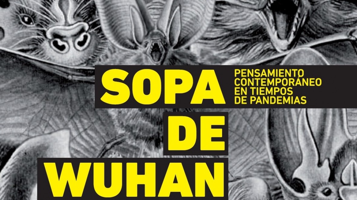 De Žižek a Judith Butler: reflexiones de los intelectuales sobre la pandemia