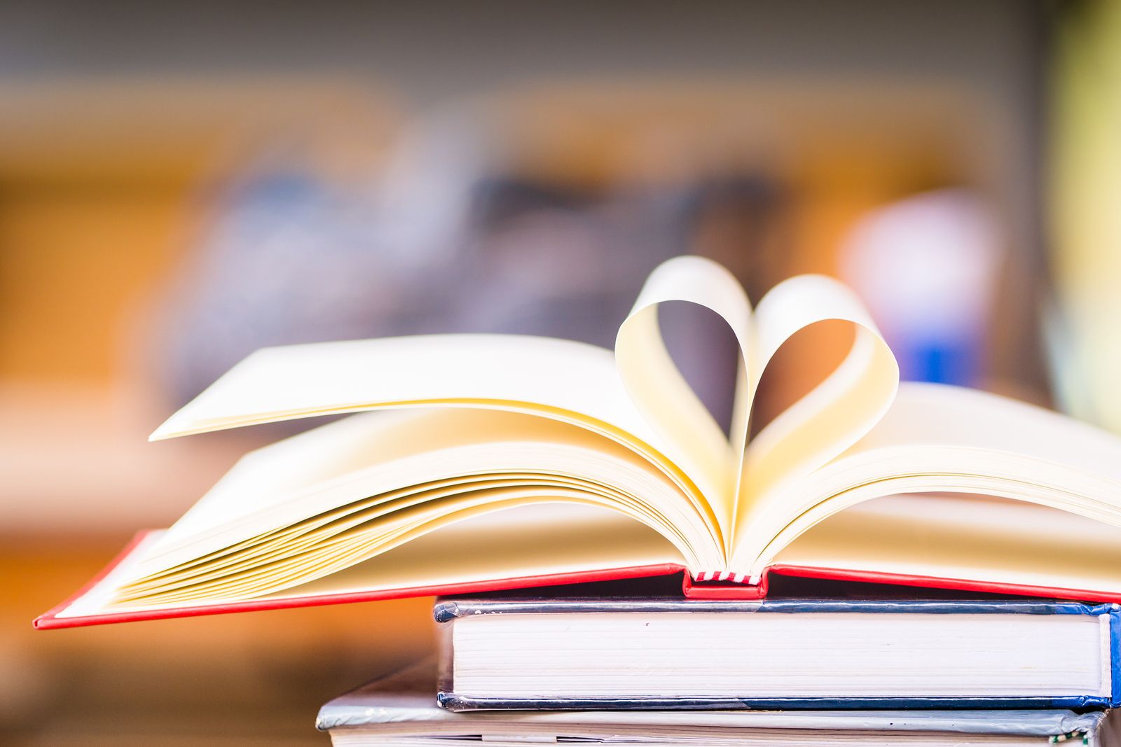 Los libros del 2020
